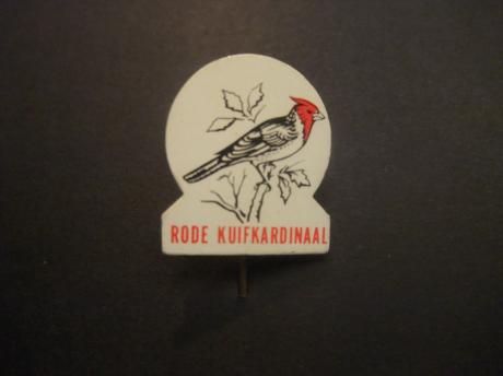 Rode Kuifkardinaal ( zangvogel)